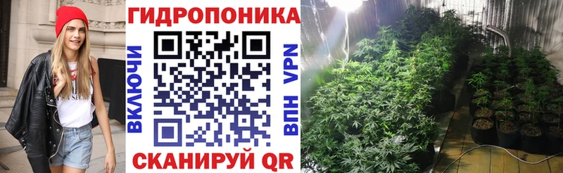 как найти наркотики  Знаменск  Шишки марихуана Amnesia 